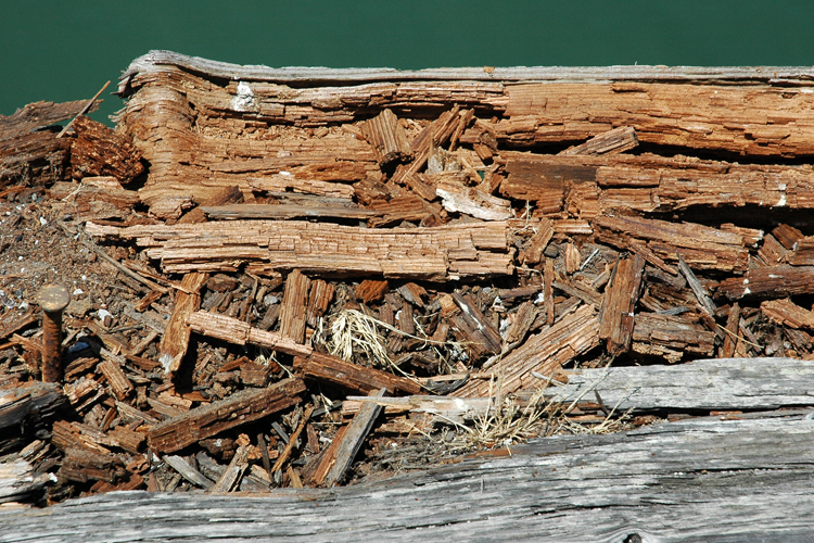 Does homeowners insurance cover rotting wood information